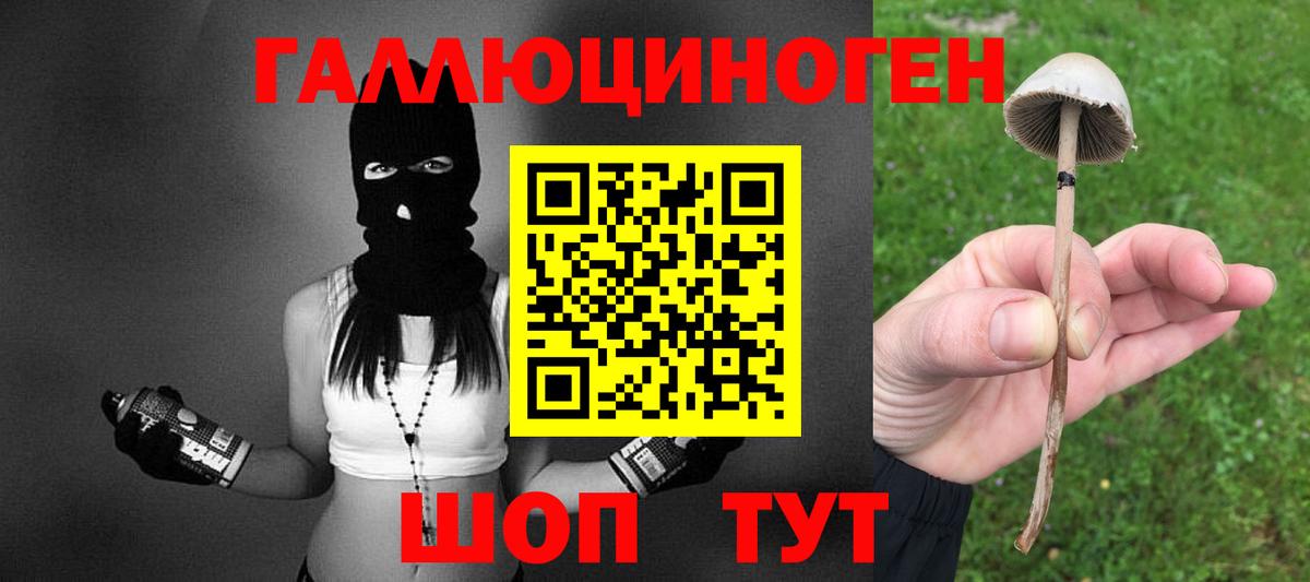 Псилоцибиновые грибы Psilocybine cubensis  как найти закладки  Карасук  Вход с VPN 